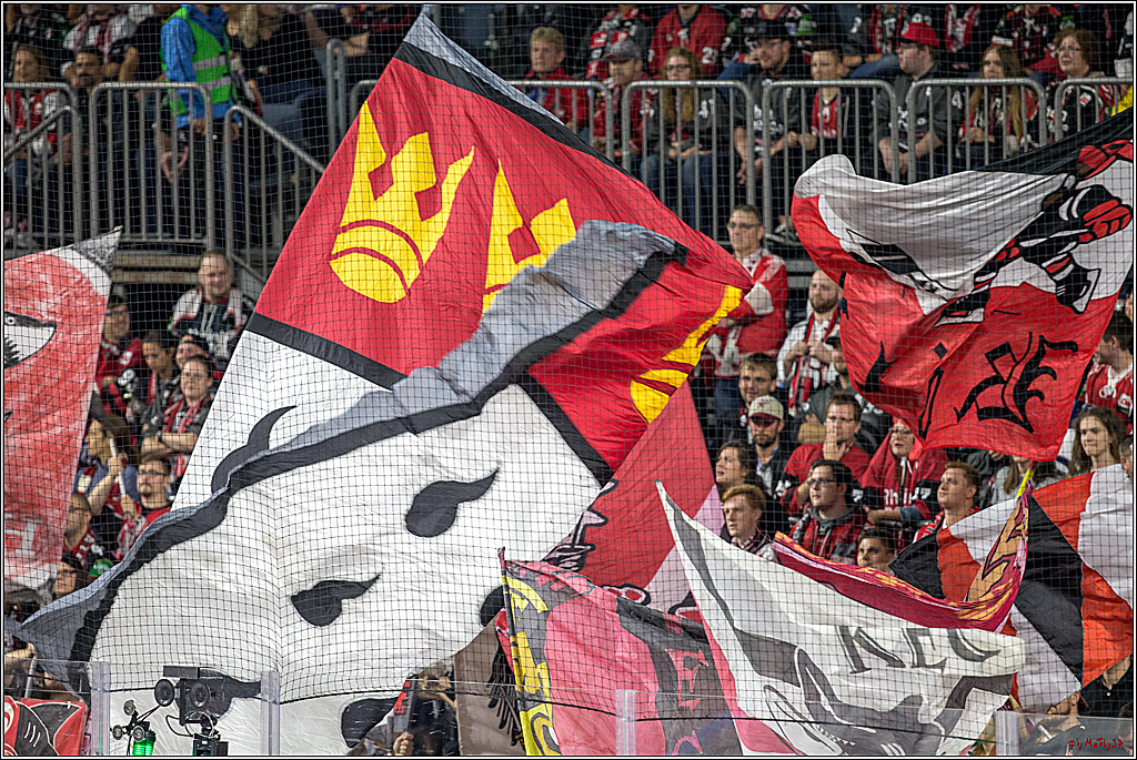 DEL Koelner Haie - Augsburg Panther, 14.09.2018